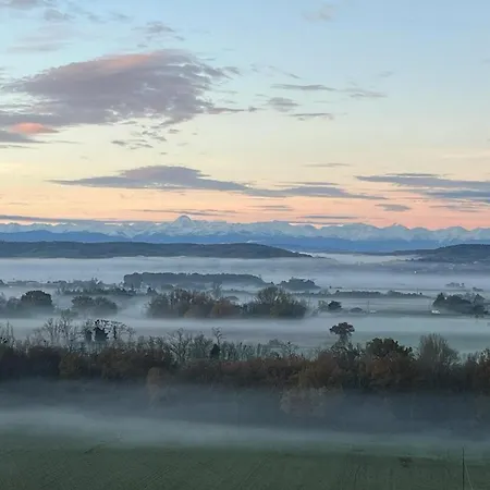 Domaine De Quintalone