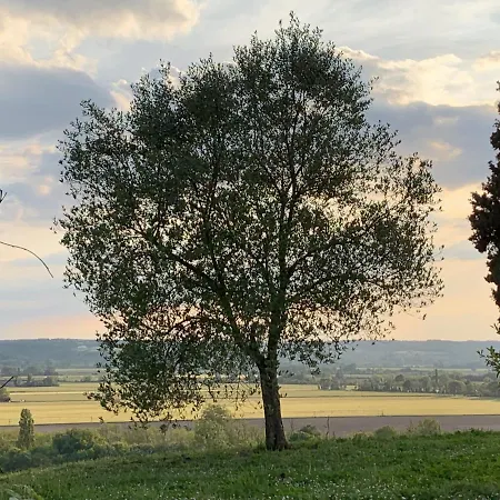 Domaine De Quintalone Отель типа 