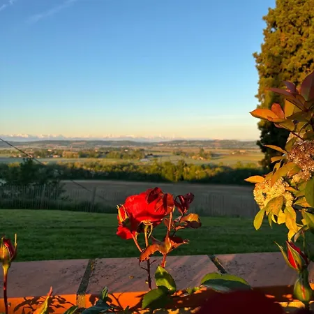 Domaine De Quintalone 4* Cintegabelle